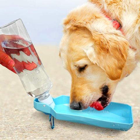 ﻿Dog Water Bottle - Blue - 250ml - Happee Shoppee